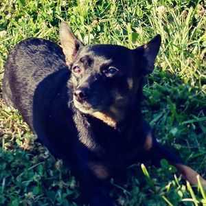 Meet your Posher, John